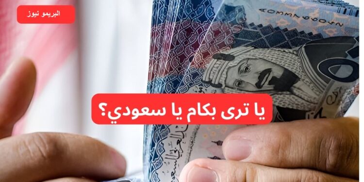 سعر الريال السعودي أمام الجنيه المصري: تحديث يومي للتعاملات في جميع البنوك المصرية 1 سعر الريال السعودي أمام الجنيه المصري: تحديث يومي للتعاملات في جميع البنوك المصرية