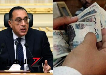 صرف علاوة 3% وإجازة مدفوعة الأجر 90 يومًا.. مزايا جديدة للموظفين