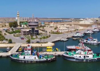 ميناء دمياط يحقق حركة مرورية كبيرة مع 14 سفينة خلال يوم واحد