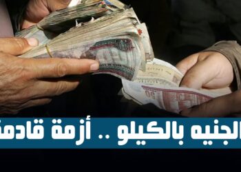 سعر الدولار مقابل الجنيه المصري في السوق اليوم الأحد 29 ديسمبر 2024