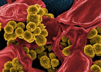 من السرطان إلى الصحة تقنية تحول الخلايا السرطانية إلى خلايا طبيعية