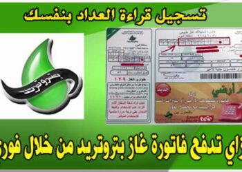 طريقة تسجيل قراءة عداد الغاز عبر بتروتريد من المنزل لعام 2024 – رابط مباشر