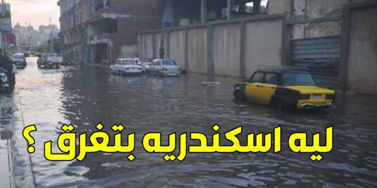 شهر طوبة في مصر كيف يؤثر على الطقس في ذروة الشتاء