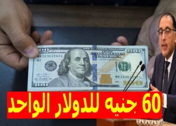سعر الدولار مقابل الجنيه اليوم الأحد في البنوك المصرية 2024