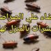 التخلص من الصراصير والحشرات بطرق طبيعية وآمنة بعيدًا عن المبيدات 2 التخلص من الصراصير والحشرات بطرق طبيعية وآمنة بعيدًا عن المبيدات