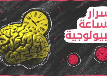 الساعة البيولوجية وأثرها في أمراض تصيب ملايين الأشخاص حول العالم