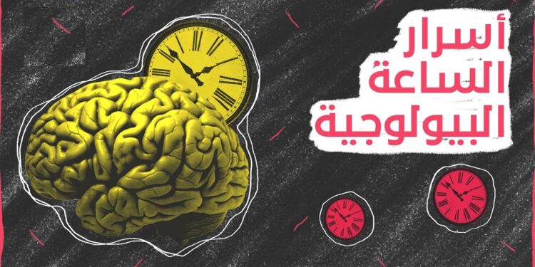 الساعة البيولوجية وأثرها في أمراض تصيب ملايين الأشخاص حول العالم 1 الساعة البيولوجية وأثرها في أمراض تصيب ملايين الأشخاص حول العالم