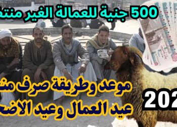 لينك التسجيل المباشر لمنحة العمالة غير المنتظمة 2024