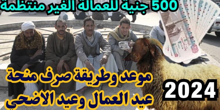 لينك التسجيل المباشر لمنحة العمالة غير المنتظمة 2024 1 لينك التسجيل المباشر لمنحة العمالة غير المنتظمة 2024