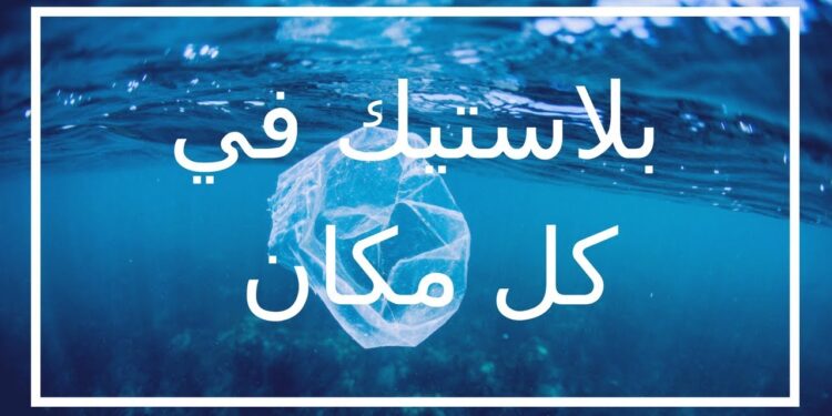 مخاطر البلاستيك الدقيق من الإصابة بالسرطان إلى العقم 1 مخاطر البلاستيك الدقيق من الإصابة بالسرطان إلى العقم