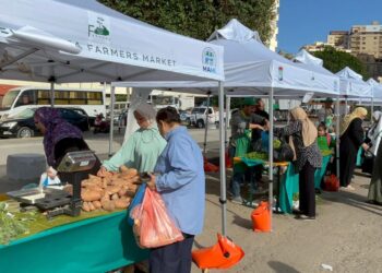 أسواق اليوم الواحد تبدأ في استقبال الجمهور في مختلف المحافظات