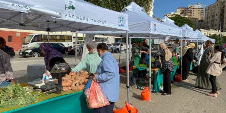 أسواق اليوم الواحد تبدأ في استقبال الجمهور في مختلف المحافظات