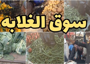 أسعار الخضراوات والفاكهة في أسواق الجملة اليوم السبت 14 ديسمبر 2024: الطماطم بـ3.5 جنيه والبصل بـ12 جنيه