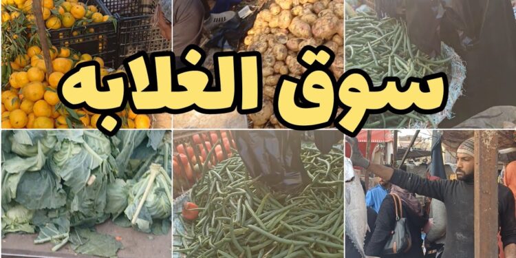 أسعار الخضراوات والفاكهة في أسواق الجملة اليوم السبت 14 ديسمبر 2024: الطماطم بـ3.5 جنيه والبصل بـ12 جنيه 1 أسعار الخضراوات والفاكهة في أسواق الجملة اليوم السبت 14 ديسمبر 2024: الطماطم بـ3.5 جنيه والبصل بـ12 جنيه