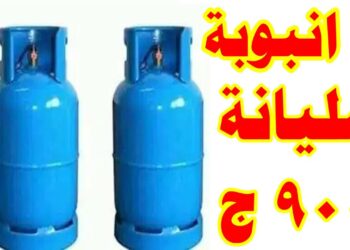 أسعار أنبوبة البوتاجاز في المستودع والمستهلك اليوم 21 ديسمبر 2024