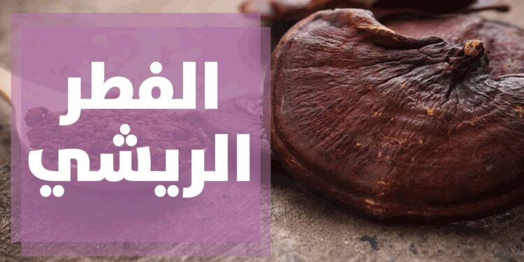 فطر الجانوديرما هو السر الفعّال للتخسيس وحرق الدهون