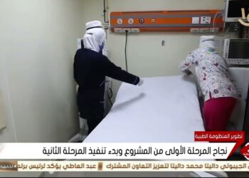 الرعاية الصحية إنجازات كبيرة للتأمين الصحي الشامل في صعيد مصر حسب مستشار الوزارة