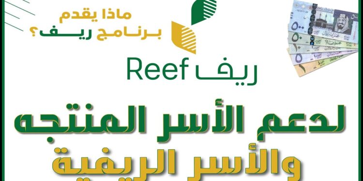 رابط برنامج ريف للتسجيل | طريقة التقديم في برنامج ريف 1 رابط برنامج ريف للتسجيل | طريقة التقديم في برنامج ريف