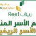 رابط برنامج ريف للتسجيل | طريقة التقديم في برنامج ريف 2 رابط برنامج ريف للتسجيل | طريقة التقديم في برنامج ريف