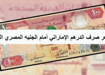 سعر صرف الدرهم الإماراتي أمام الجنيه المصري اليوم