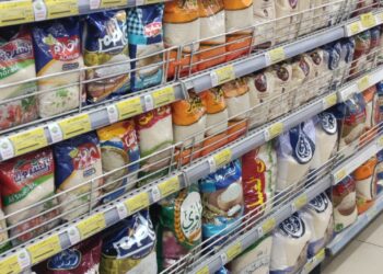 أسعار الأرز الشعير اليوم السبت 21 ديسمبر 2024 تفاصيل جديدة