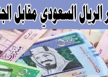 سعر الريال السعودي مقابل الجنيه في البنوك يشهد مفاجأة كبيرة بعد زيادة الدولار