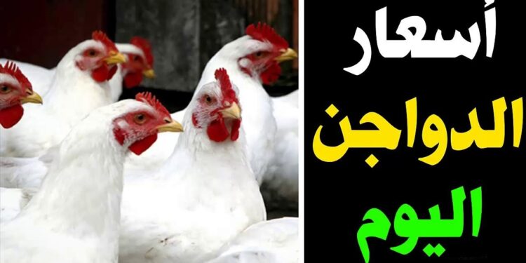 أسعار الفراخ البيضاء اليوم في بورصة الدواجن: الثلاثاء 3 ديسمبر 2024 1 أسعار الفراخ البيضاء اليوم في بورصة الدواجن: الثلاثاء 3 ديسمبر 2024