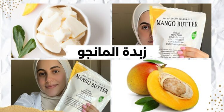 فوائد زبدة المانجو للبشرة والشعر التي ستغير روتينك الجمالي 1 فوائد زبدة المانجو للبشرة والشعر التي ستغير روتينك الجمالي