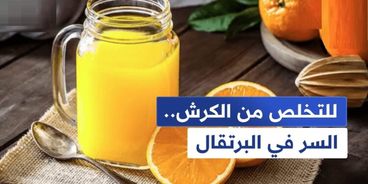 البرتقال سحرك للتخلص من الكرش والحصول على الجسم المثالي بطريقة طبيعية 1 البرتقال سحرك للتخلص من الكرش والحصول على الجسم المثالي بطريقة طبيعية