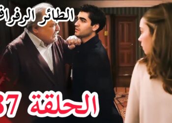 مسلسل الطائر الرفراف الحلقة 87 مترجمة قصة عشق