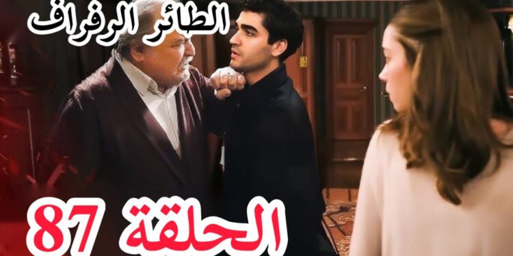 مسلسل الطائر الرفراف الحلقة 87 مترجمة قصة عشق 1 مسلسل الطائر الرفراف الحلقة 87 مترجمة قصة عشق