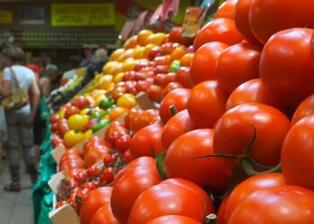 أسعار الطماطم 12 ديسمبر 2024: تراجع جديد في الأسعار ومفاجأة في سعر الكيلو