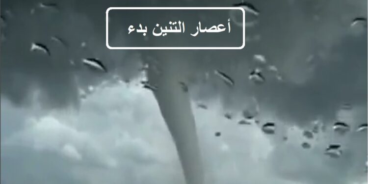 عاصفة التنين تلوح في الأفق.. تحذيرات عاجلة من الأرصاد الجوية للقاهرة والمحافظات 1 عاصفة التنين تلوح في الأفق.. تحذيرات عاجلة من الأرصاد الجوية للقاهرة والمحافظات