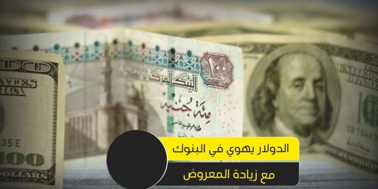 سعر الدولار اليوم مقابل الجنيه المصري في البنوك – تحديث لحظي وأسعار الصرافة