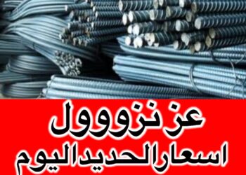 سعر حديد عز في مصر اليوم الخميس 19 ديسمبر 2024 آخر التحديثات