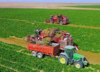 توطين الصناعة وتوسيع الرقعة الزراعية الطريق نحو زيادة الصادرات الوطنية