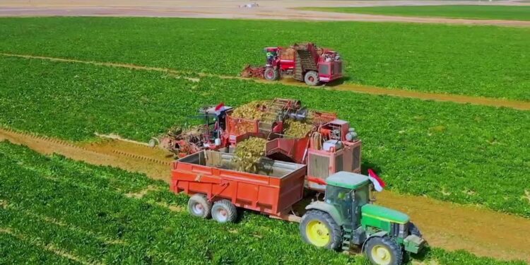 توطين الصناعة وتوسيع الرقعة الزراعية الطريق نحو زيادة الصادرات الوطنية