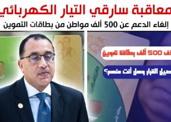 إيقاف بطاقات التموين بسبب ممارسات الكهرباء: من هم المستفيدون؟