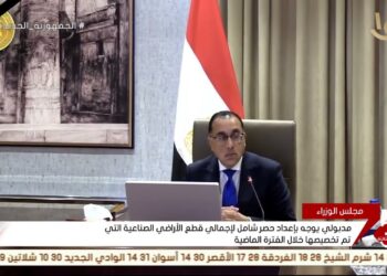 جميع الأراضي المخصصة للمستثمرين تتضمن المرافق الأساسية (فيديو)