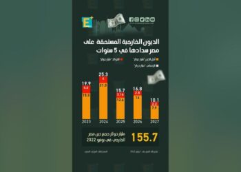 الحكومة المصرية تسدد 7.5 مليار دولار من ديونها