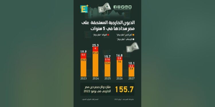 الحكومة المصرية تسدد 7.5 مليار دولار من ديونها 1 الحكومة المصرية تسدد 7.5 مليار دولار من ديونها