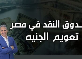 صندوق النقد والجنيه المصري.. خبير يكشف عن طلب تعويم كامل للجنيه