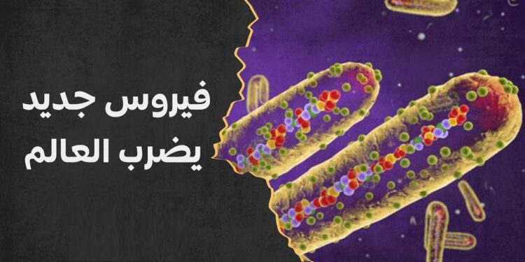 وزارة الصحة توضح حقيقة ظهور فيروس جديد بين المواطنين بعد انتشار نزلات البرد