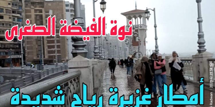 نوة الفيضة الصغرى 2024: الإسكندرية على موعد مع أقوى أيام الشتاء بحسب الأرصاد 1 نوة الفيضة الصغرى 2024: الإسكندرية على موعد مع أقوى أيام الشتاء بحسب الأرصاد
