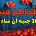 أسعار الطماطم تخالف التوقعات اليوم 18 ديسمبر 2024 بعد تراجع مفاجئ في سعر الكيلو