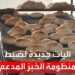 وزارة التموين توضح رسميًا التغيير في سعر الخبز المدعم 2 وزارة التموين توضح رسميًا التغيير في سعر الخبز المدعم