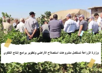 وزارة الزراعة تستكمل مشروعات استصلاح الأراضي وتطوير برامج إنتاج التقاوي
