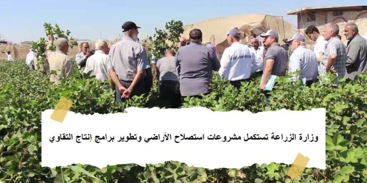 وزارة الزراعة تستكمل مشروعات استصلاح الأراضي وتطوير برامج إنتاج التقاوي