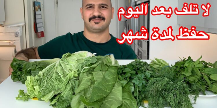طريقة فعالة لحفظ النعناع الأخضر في الثلاجة لوقت طويل 1 طريقة فعالة لحفظ النعناع الأخضر في الثلاجة لوقت طويل