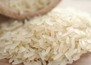 تحديث أسعار الأرز عريض ورفيع الحبة اليوم الإثنين 16 ديسمبر 2024